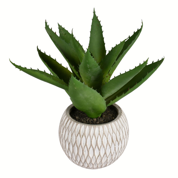 Hashtag Home Faux Succulent Plant in Pot & Reviews Wayfair